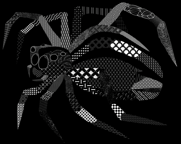 Spider